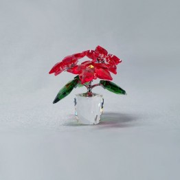 Kerstster in pot - Poinsettia